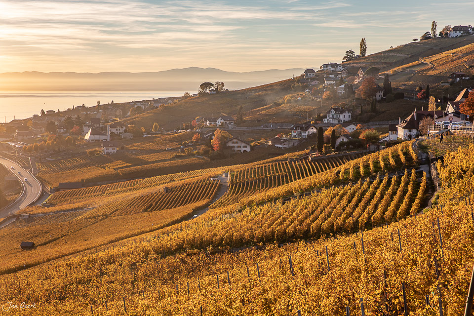 Herbstliche Weinreben in Lavaux mit goldenem Kantlicht, Seeufer und Dorfsilhouetten in der Westschweiz – Jan Geerk Fotograf Basel