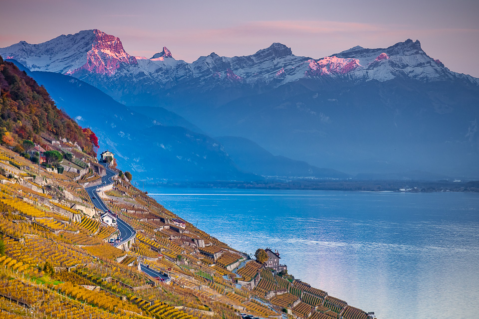 Lavaux Rebberge mit Alpengipfeln bei Herbstlicht, Waadt Schweiz – Jan Geerk Fotograf Basel