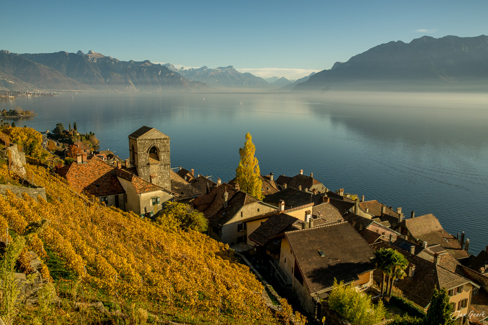 Herbstliches Lavaux mit Kirche und Häusern am Genfersee, Morgenlicht über den Rebbergen, Waadt Schweiz – Jan Geerk Fotograf Basel