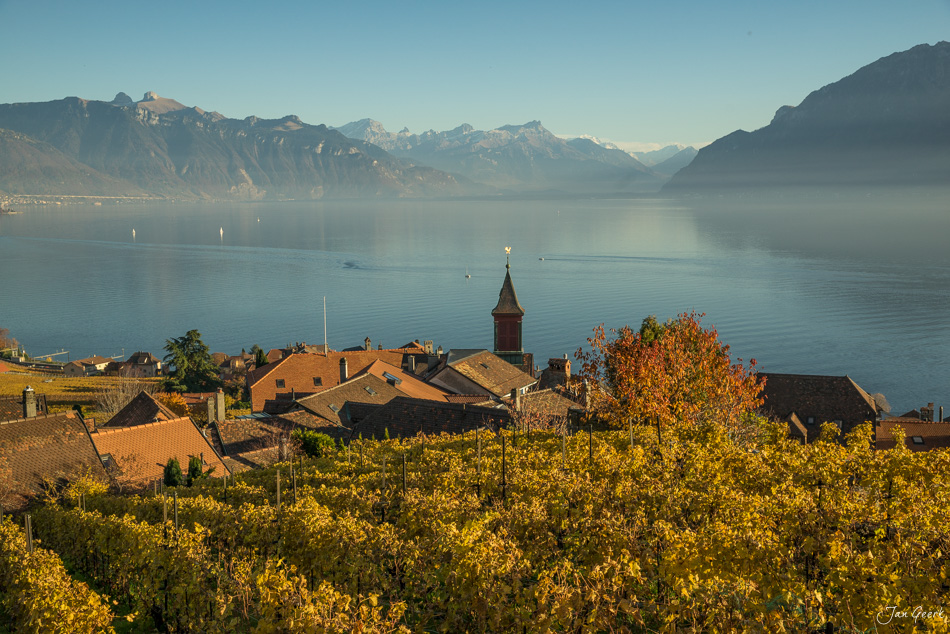 Herbstliche Rebberge über Lavaux mit Genfersee, Bergen und Dorfkirche in warmer Morgensonne, Waadt Schweiz – Jan Geerk Fotograf Basel