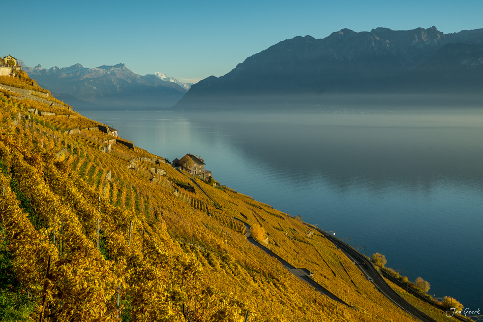 Herbstliche Rebberge in Lavaux mit Genfersee und Bergen im Hintergrund, goldenes Licht – Schweiz, Jan Geerk Fotograf Basel