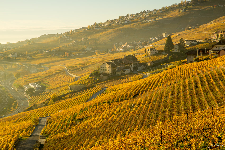 Herbstliche Weinberge in Lavaux mit Genfersee und Dorfhäusern in der goldenen Stunde. Schweiz – Jan Geerk Fotograf Basel.