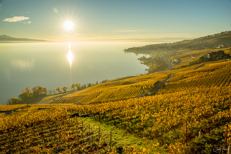 Herbstliche Rebberge mit Genfersee Panorama bei Lavaux in goldener Sonnenlicht Stimmung Schweiz – Jan Geerk Fotograf Basel