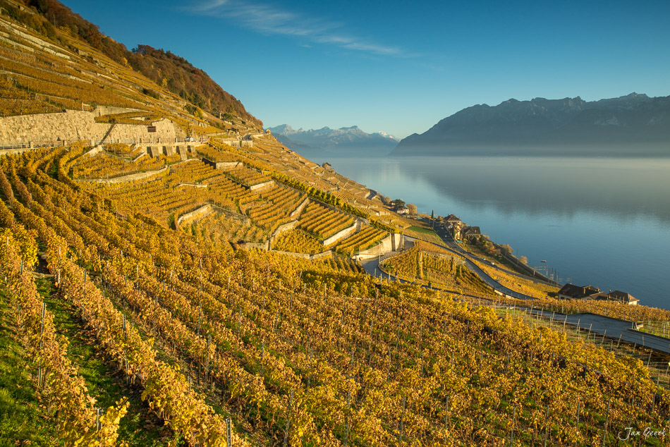 Herbstliche Rebberge in Lavaux am Genfersee mit goldenem Laub und Bergkulisse Schweiz – Jan Geerk Fotograf Basel