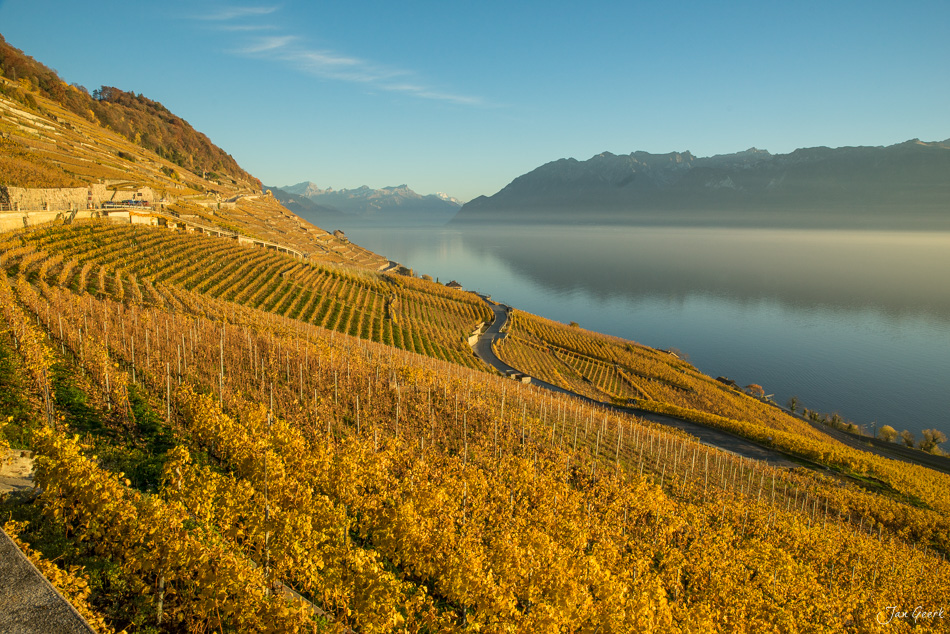 Herbstliche Rebberge in Lavaux am Genfersee mit goldgelbem Laub, Schweiz – Jan Geerk Fotograf Basel