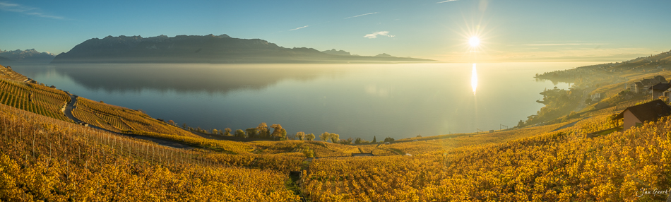 Herbstliche Rebberge und Genfersee bei Lavaux mit Morgensonne, Waadt Schweiz – Jan Geerk Fotograf Basel