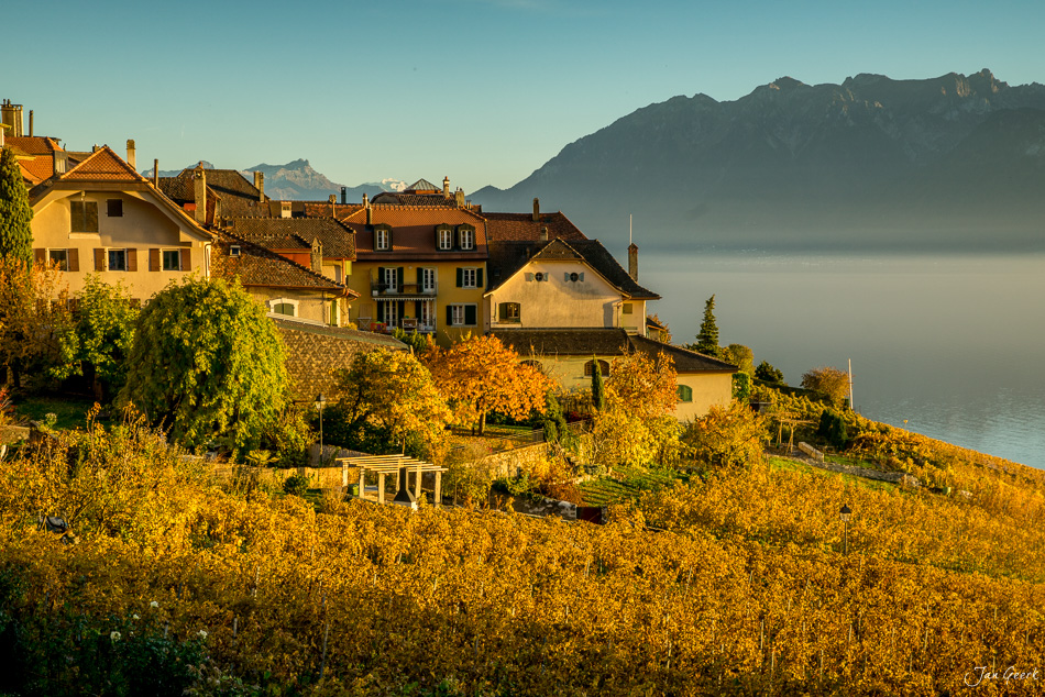Herbstliche Rebberge und Häuser in Lavaux mit Genfersee und Bergen im Hintergrund, goldenes Licht, Schweiz – Jan Geerk Fotograf Basel