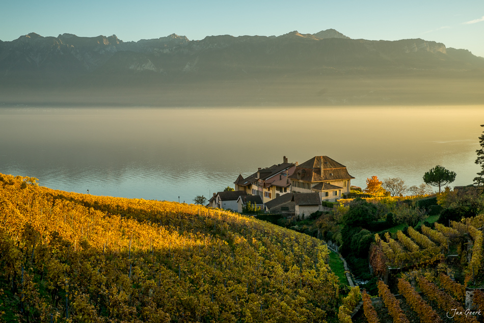 Herbstliche Weinreben und Schloss in Lavaux am Genfersee, Waadt, Schweiz – Jan Geerk Fotograf Basel