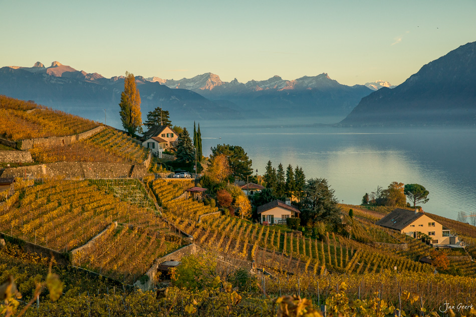 Herbstliche Rebberge in Lavaux am Genfersee mit charakteristischen Häusern und Alpenpanorama, Westschweiz Schweiz – Jan Geerk Fotograf Basel
