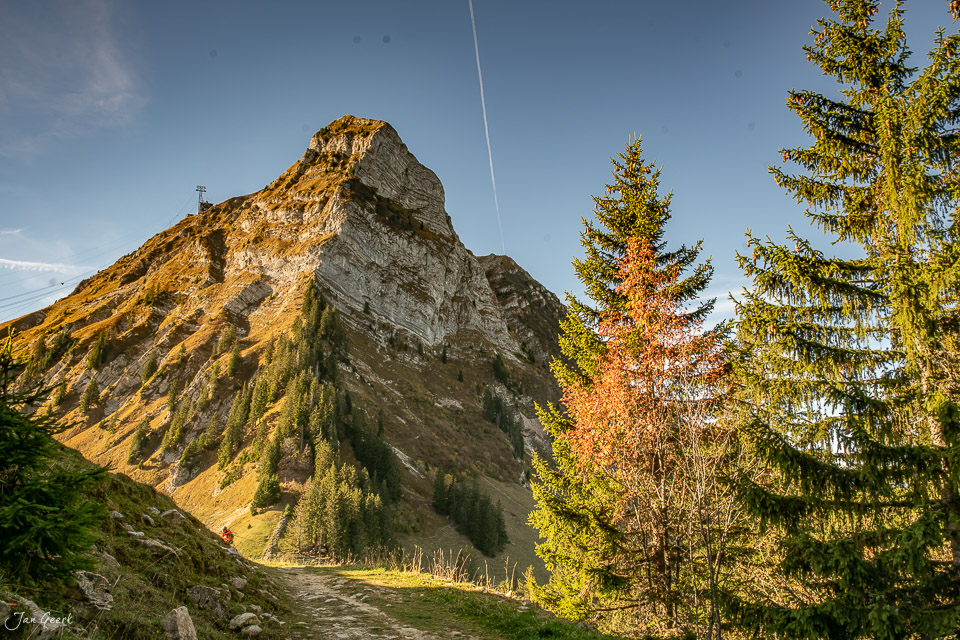Moleson Berggipfel mit Herbstwald und Kantlicht in der Westschweiz – Jan Geerk Fotograf Basel