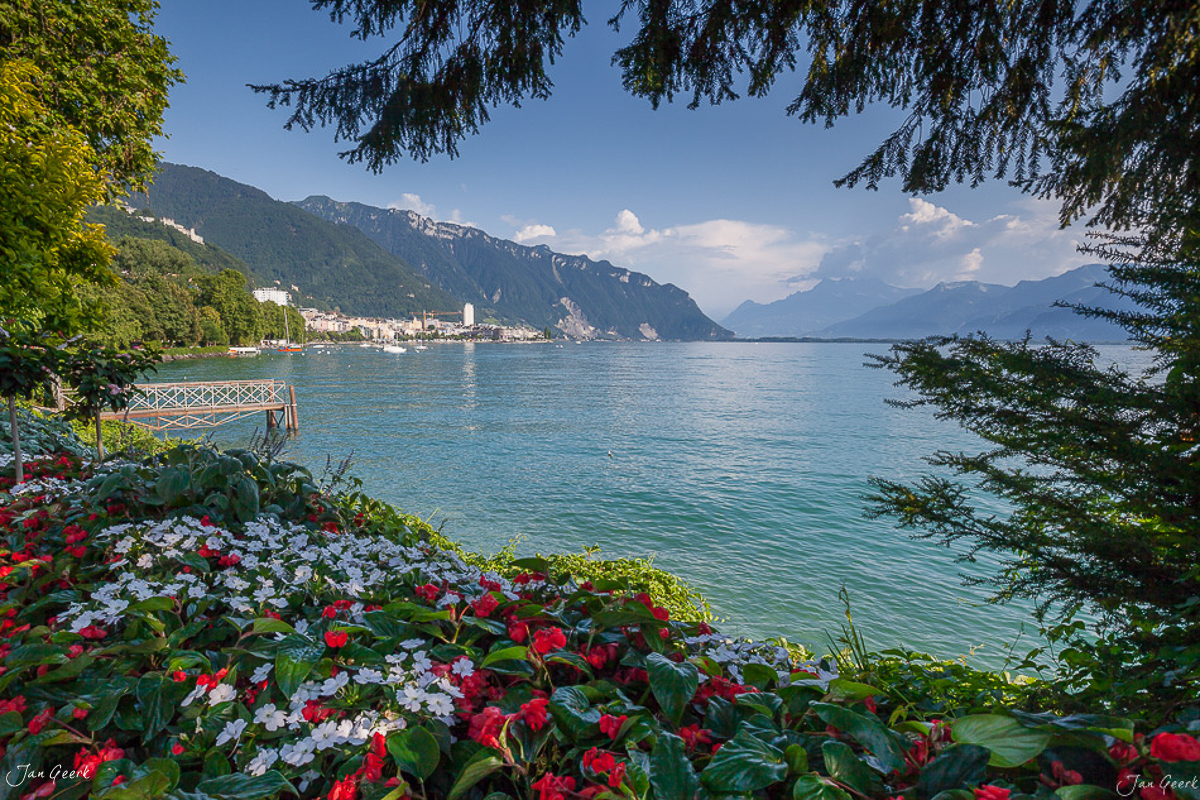 Montreux Genfersee Blütenflora Sommerlicher Seeuferblick Westschweiz Schweiz Jan Geerk Fotograf Basel