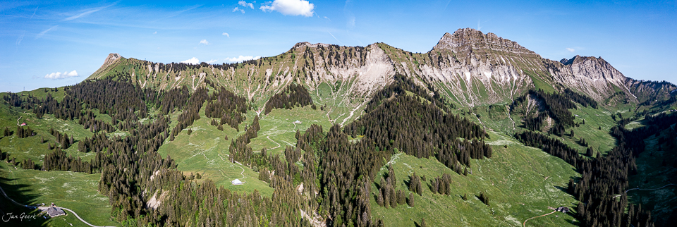 Alpenpanorama mit Fichten und grünen Berghängen, Sommerliche Berglandschaft in der Westschweiz – Jan Geerk Fotograf Basel