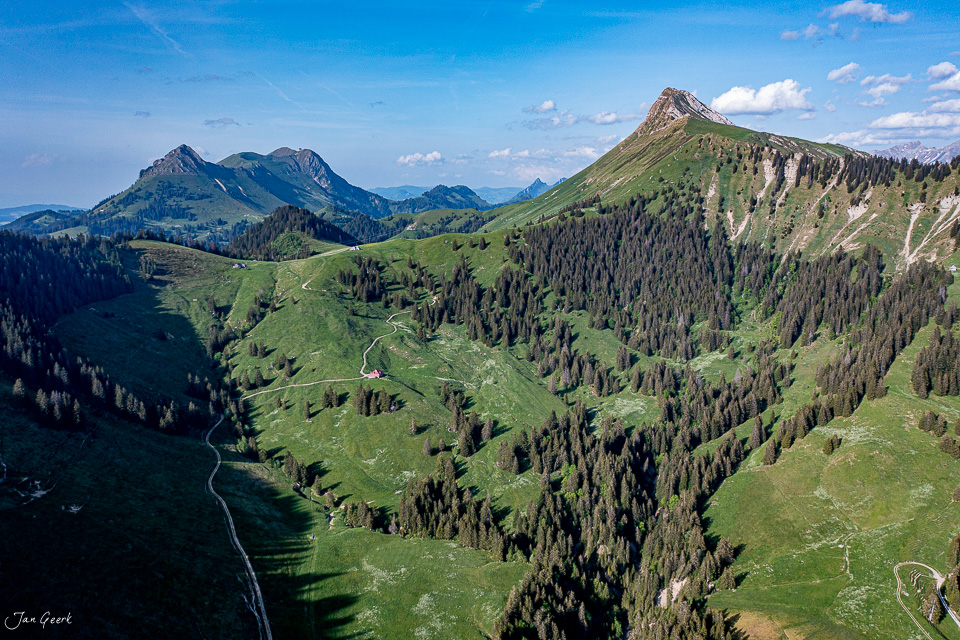 Berglandschaft mit grünen Wiesen, Fichtenwäldern und markanten Gipfeln im Sommer, Appenzell Alpen Schweiz – Jan Geerk Fotograf Basel
