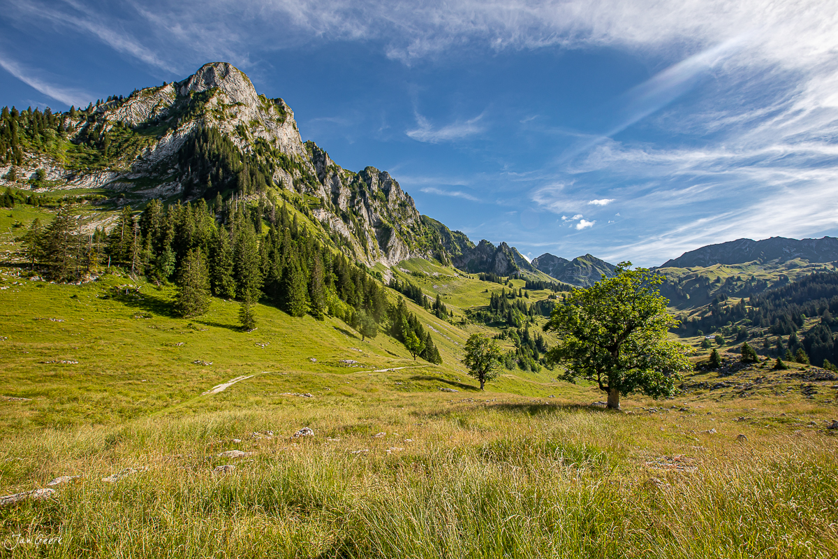 Alpenmulde mit Felsvorsprung, grüne Wiesen und Wald im Schwarzsee Sommer Voralpen Schweiz – Jan Geerk Fotograf Basel