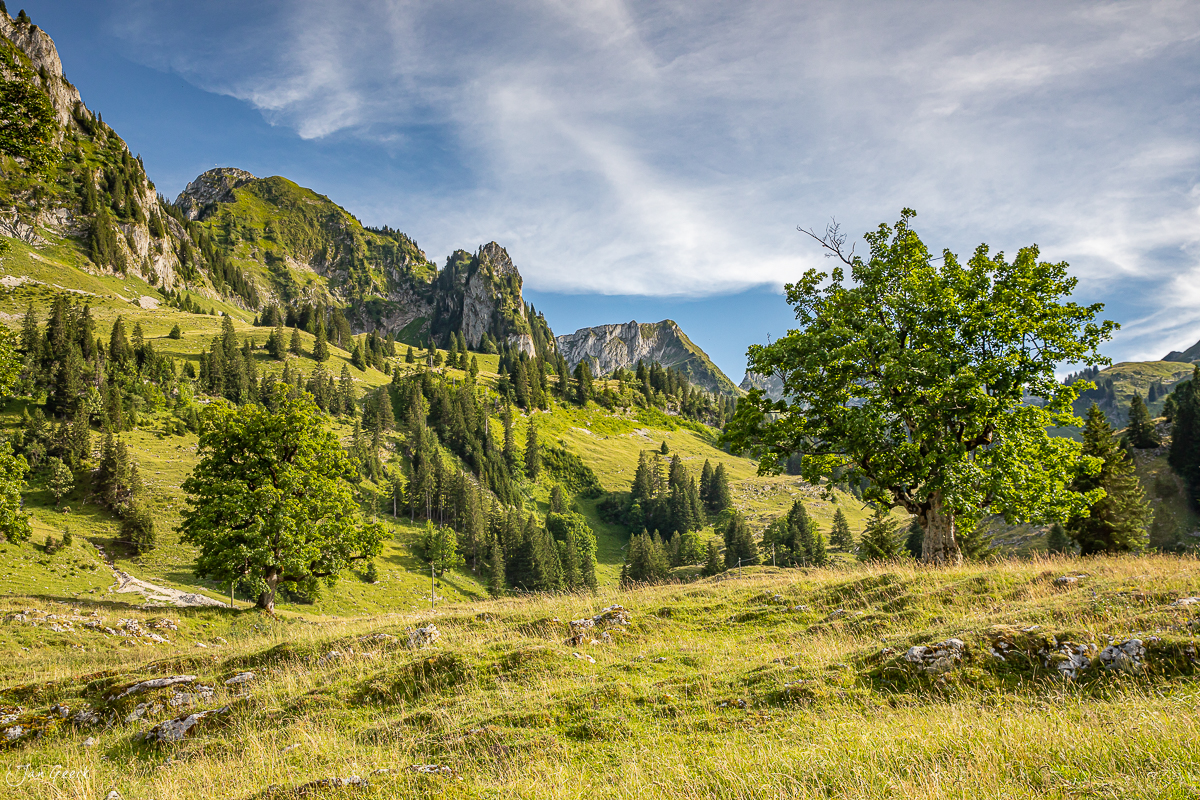 Alpines Tal mit Felsformationen und Bergwald, Schwarzsee Sommerlandschaft Freiburg Schweiz – Jan Geerk Fotograf Basel