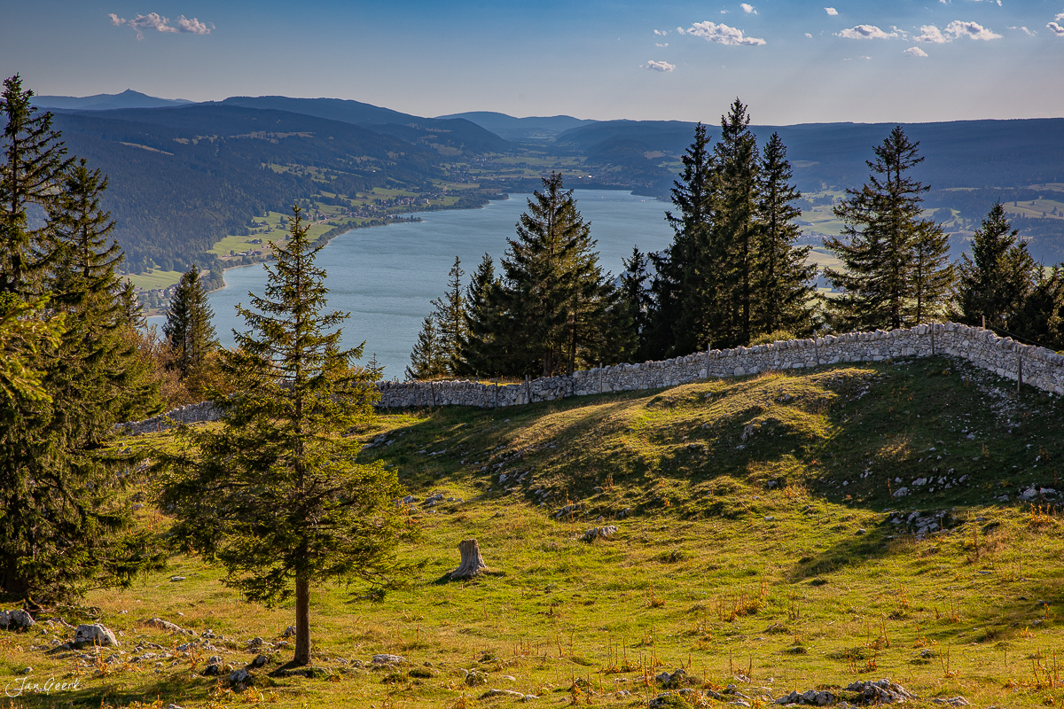 Alpwiese mit Lärchen und Steinmauer über Vallée de Joux See Jura Schweiz Jan Geerk Fotograf Basel