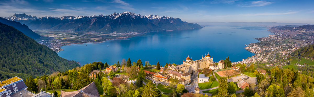 Château de Chillon am Genfersee mit Alpenpanorama, grüne Frühjahrslandschaft, Waadt Schweiz – Jan Geerk Fotograf Basel