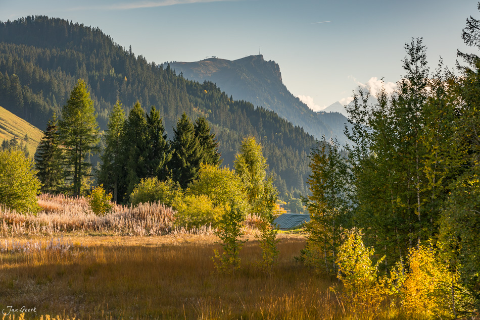 Les Grangettes im Herbst mit Schilf und Bergsilhouette am Genfersee, Waadt Westschweiz – Jan Geerk Fotograf Basel