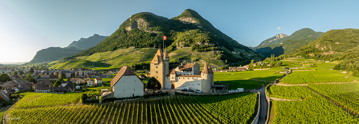 Schloss Aigle Weinberg Sommerlicht Wallis Schweiz Jan Geerk Fotograf Basel