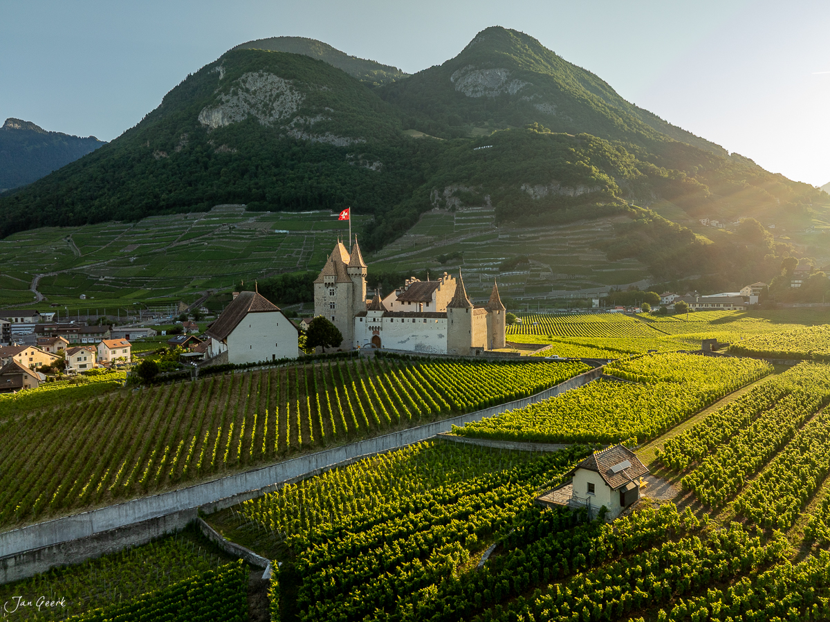 Schloss Aigle mit Weinreben im Sommer, Wallis Schweiz – Jan Geerk Fotograf Basel