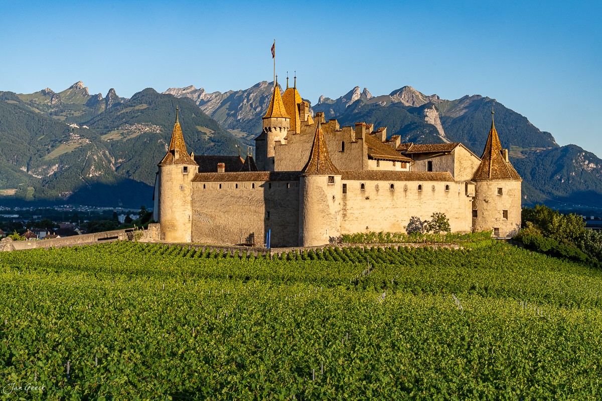 Schloss Aigle in grünen Rebbergen mit Alpen im Hintergrund, Sommerlicht, Wallis Schweiz – Jan Geerk Fotograf Basel