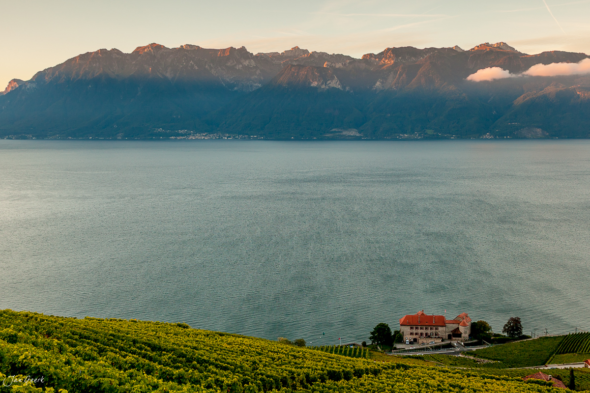Weinreben Lavaux Genfersee Sonnenaufgang Waadt Schweiz Jan Geerk Fotograf Basel