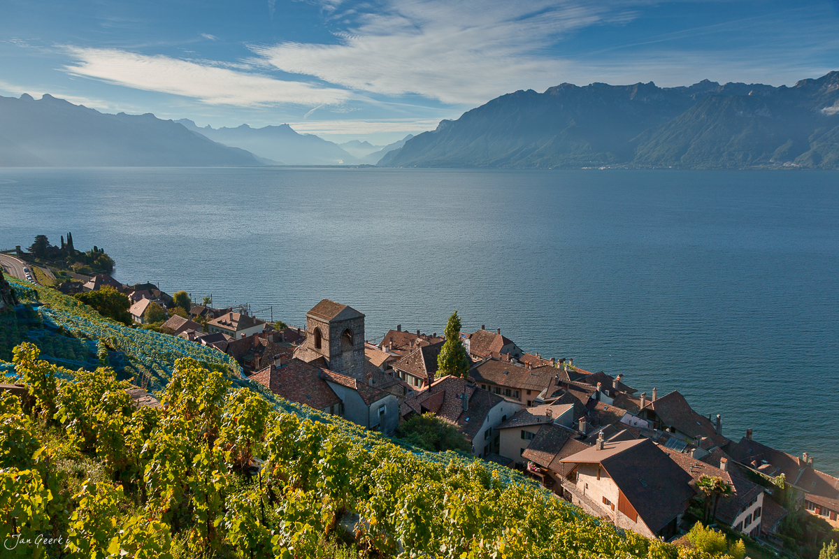 Weinreben Lavaux Dorf Genfersee Sommerland Waadt Schweiz Jan Geerk Fotograf Basel