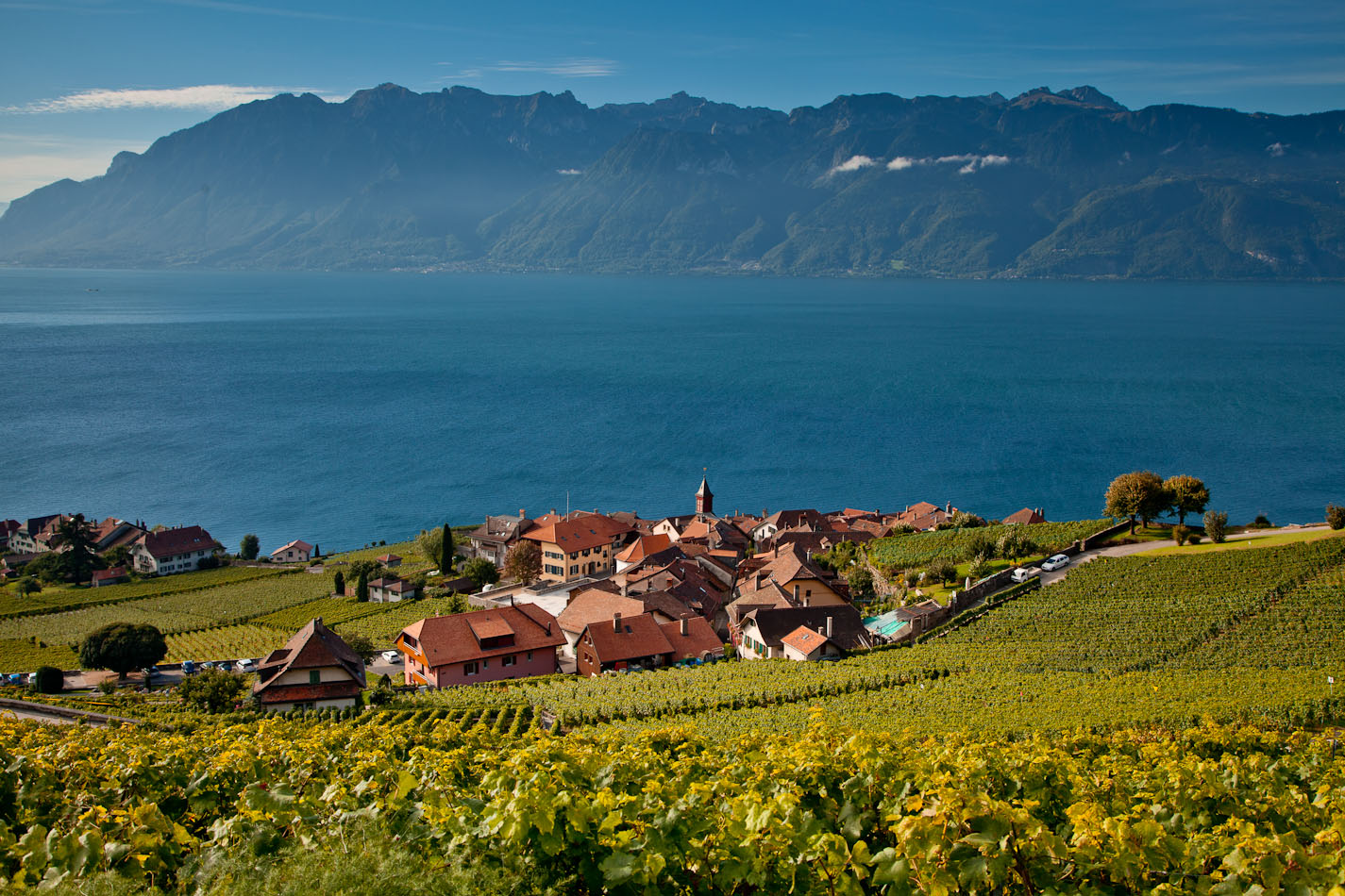 Weinbaulandschaft Lavaux Genfersee Sommer UNESCO Welterbe Waadt Schweiz Jan Geerk Fotograf