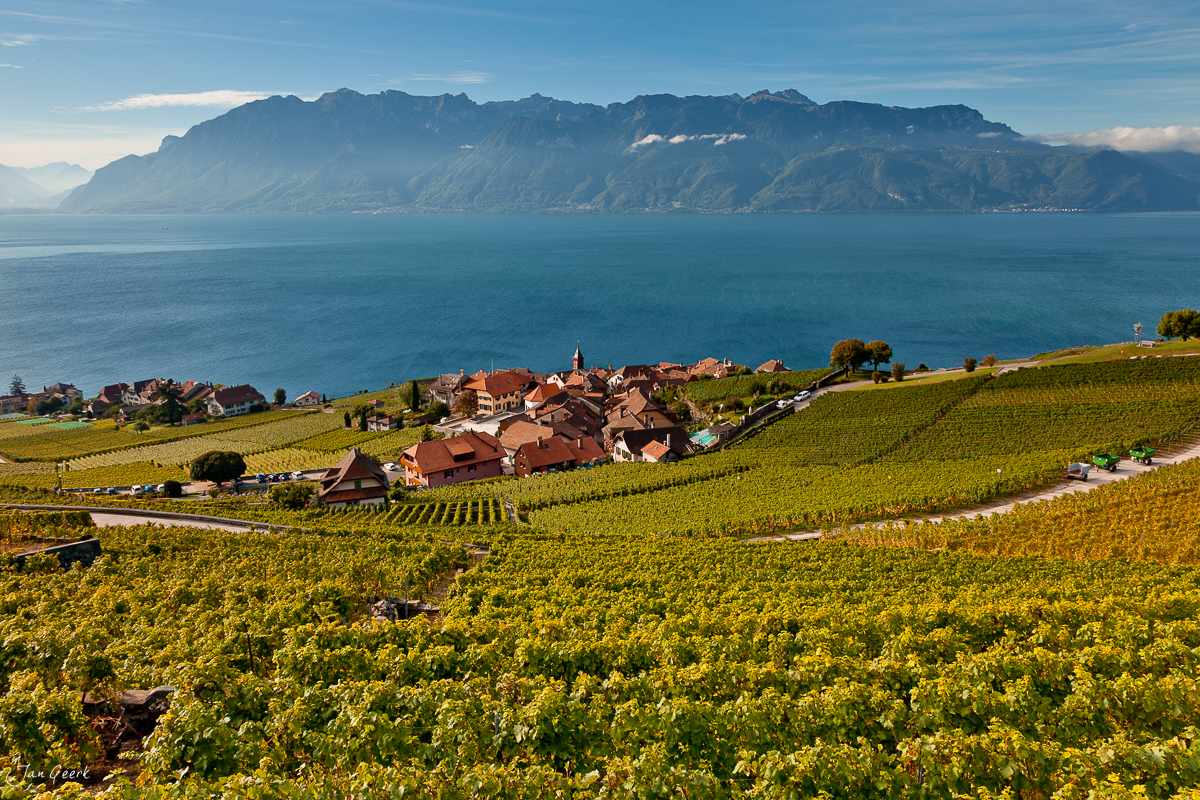 Weinreben Lavaux Genfersee Sommertag UNESCO Welterbe Waadt Schweiz Jan Geerk Fotograf Basel