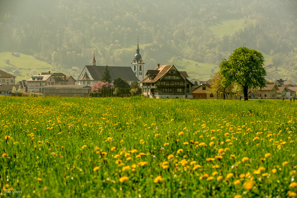 Frühjahrswiese mit Löwenzahn und Dorfkirche in Arth, Berge im Hintergrund, Frühlingslicht, Schweiz – Jan Geerk Fotograf Basel