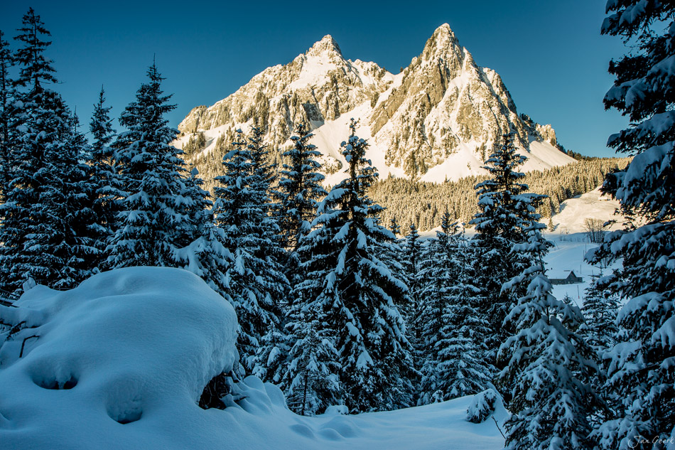 Schneebedeckte Tannen und Bergpanorama am Brunni im Winter, Zentralschweiz Schweiz – Jan Geerk Fotograf Basel