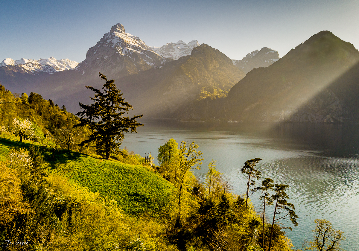 Kirschblüte am Urnersee mit schneebedeckten Bergen im Frühling, Zentralschweiz – Jan Geerk Fotograf Basel