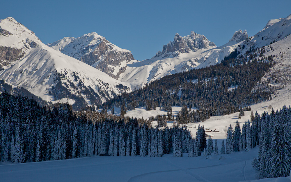 Engelberg Winterlandschaft Schneebedeckte Berge Fichten Zentralschweiz Schweiz Jan Geerk Fotograf Basel