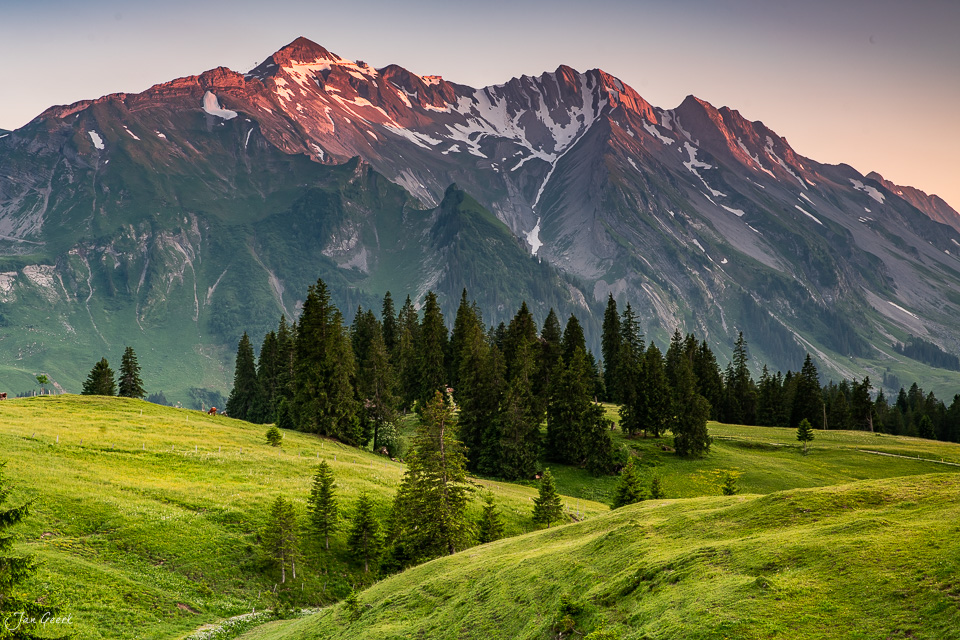 Glaubenbielen Alpwiese mit Nadelbäumen und schneebedecktem Titlis im Morgenlicht Obwalden Schweiz Jan Geerk Fotograf Basel