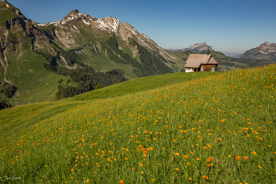 Blütenwiese mit Almhütte vor Bergen in der Glaubenbielen Sommer Obwalden Schweiz Jan Geerk Fotograf Basel
