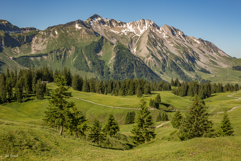 Alpweiden und Berggipfel auf der Glaubenbielen im Sommer, Obwalden Schweiz – Jan Geerk Fotograf Basel