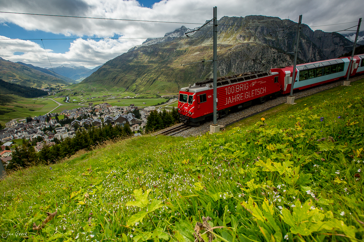 Zahnradbahn auf grüner Alpenwiese, Oberalppass, Sommermoos mit Blüten, Zentralschweiz – Jan Geerk Fotograf Basel
