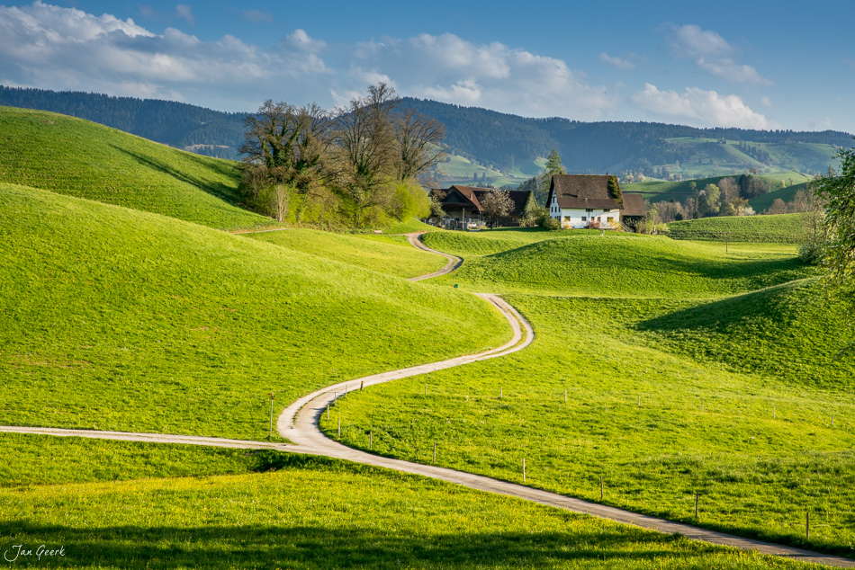 Grüne Hügellandschaft mit gewundenem Weg und Bauernhaus in Hirzel, Frühjahr, Zentralschweiz, Schweiz – Jan Geerk Fotograf Basel