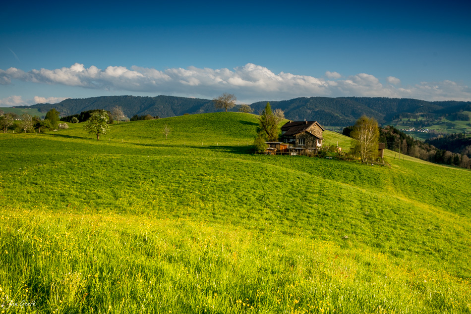 Grüne Frühjahrslandschaft mit traditionellem Bauernhaus in Hirzel, Zentralschweiz – Jan Geerk Fotograf Basel