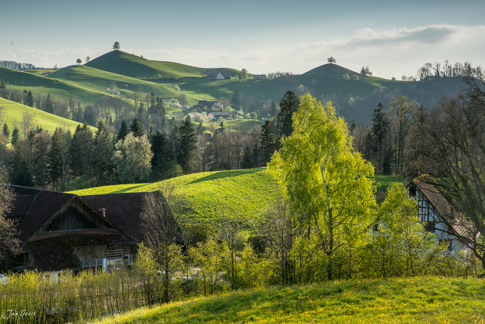 Frühlings-Landschaft in Hirzel mit grünen Drumlins, traditionalen Bauernhöfen und Birkenwald, Zentralschweiz – Jan Geerk Fotograf Basel
