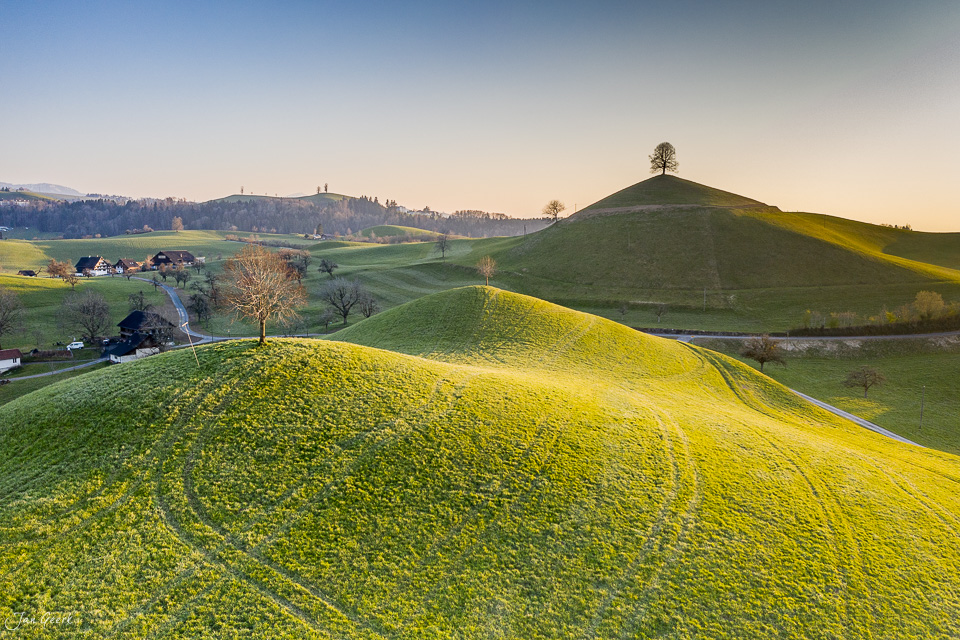 Blühende Rapsfelder in Hirzel mit grünen Hügeln, Bauernhöfe, Frühlingslicht, Zentralschweiz – Jan Geerk Fotograf Basel