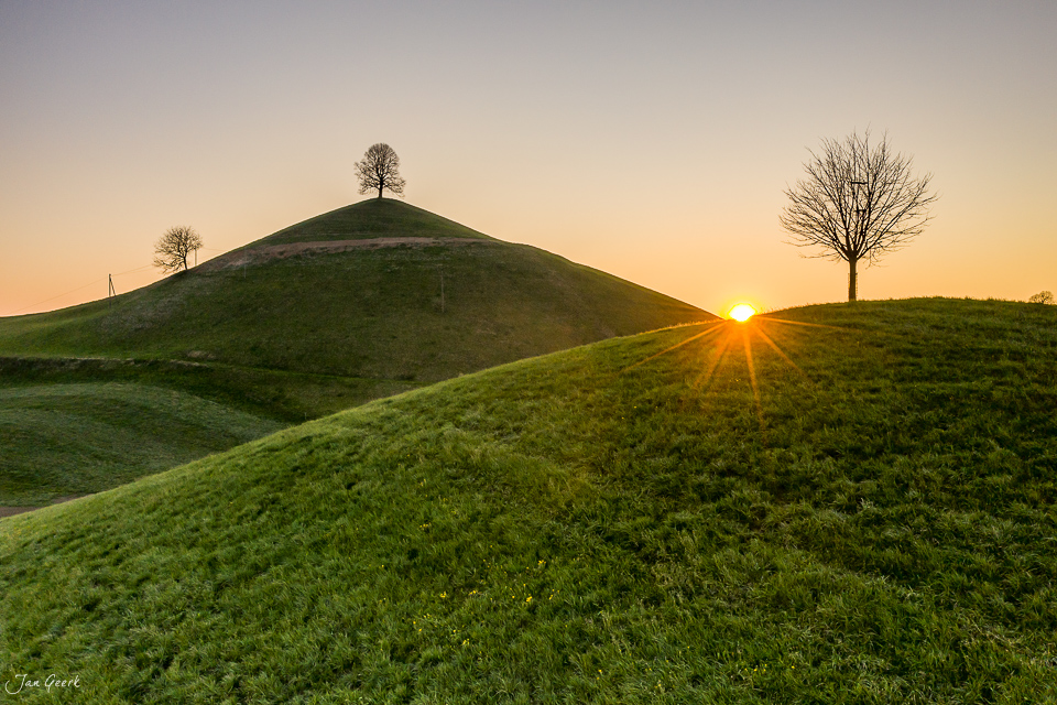 Hügel mit einzelnem Baum bei Sonnenaufgang in Hirzel Zentralschweiz Schweiz – Jan Geerk Fotograf Basel