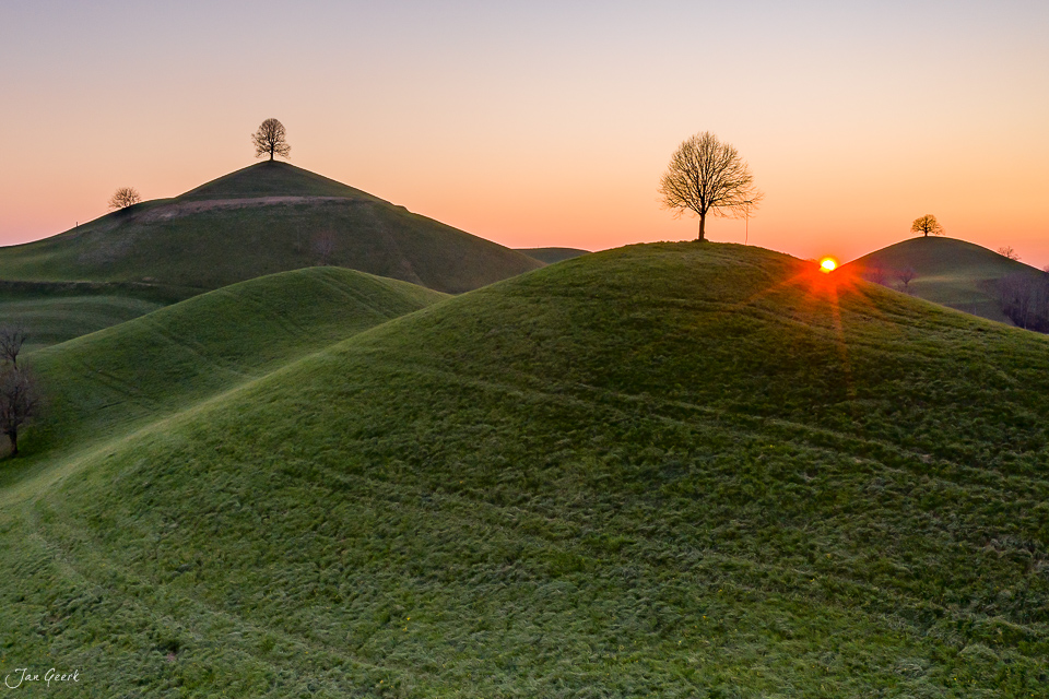 Hügel mit einzelnem Baum bei Sonnenaufgang Hirzel Zentralschweiz Schweiz – Jan Geerk Fotograf Basel