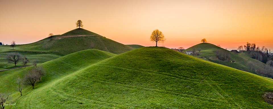 Grüne Hügel mit einzelnen Bäumen bei Sonnenaufgang im Hirzel, Zentralschweiz – Jan Geerk Fotograf Basel