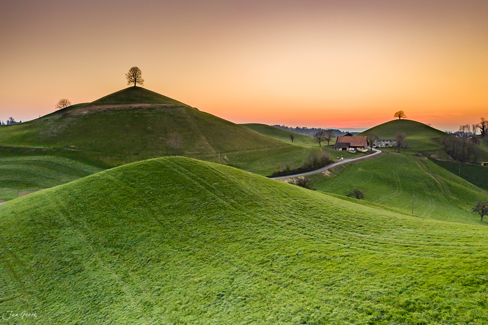 Grüne Hügel mit einzelnen Bäumen bei Sonnenaufgang in Hirzel Zentralschweiz Schweiz – Jan Geerk Fotograf Basel