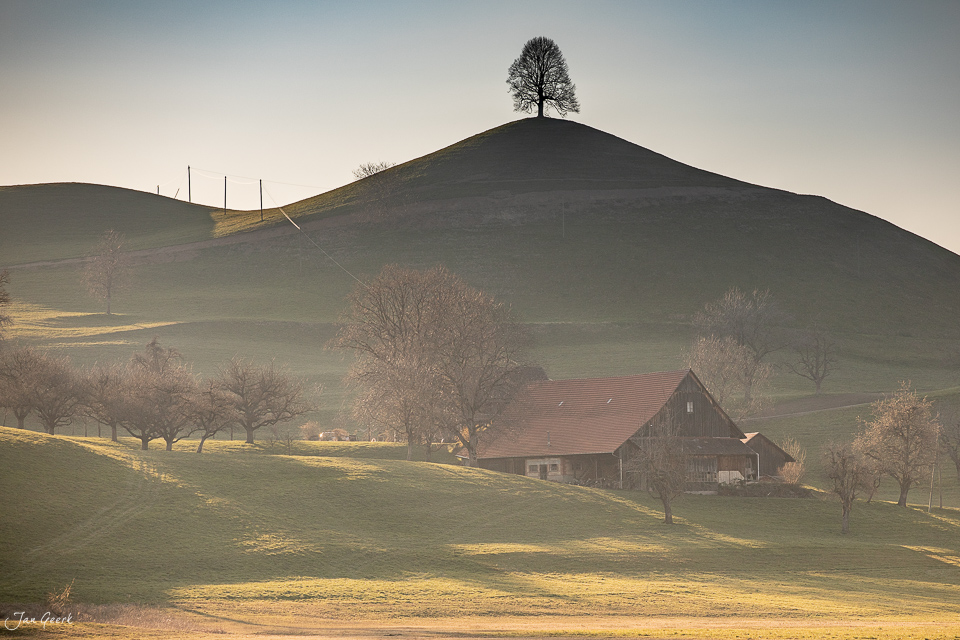 Einzelner Baum auf Hügel über Bauernhof Hirzel Zentralschweiz Herbst Schweiz Jan Geerk Fotograf Basel