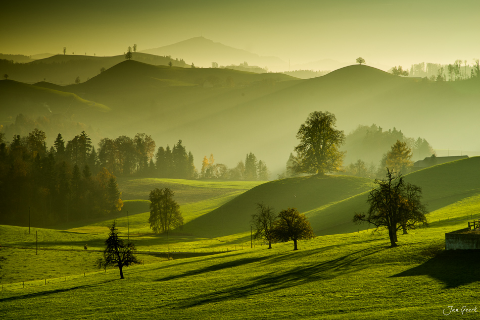 Herbstliche Drumlins-Landschaft bei Hirzel mit sanften Hügeln und einzelnen Bäumen in der Zentralschweiz – Jan Geerk Fotograf Basel