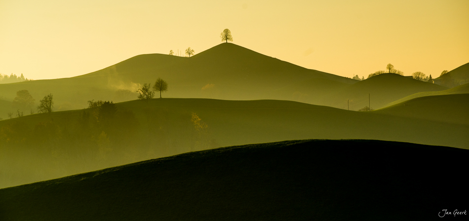 Herbstliche Drumlins Hirzel mit sanften Hügeln und Bäumen in goldener Lichtstimmung, Zentralschweiz – Jan Geerk Fotograf Basel