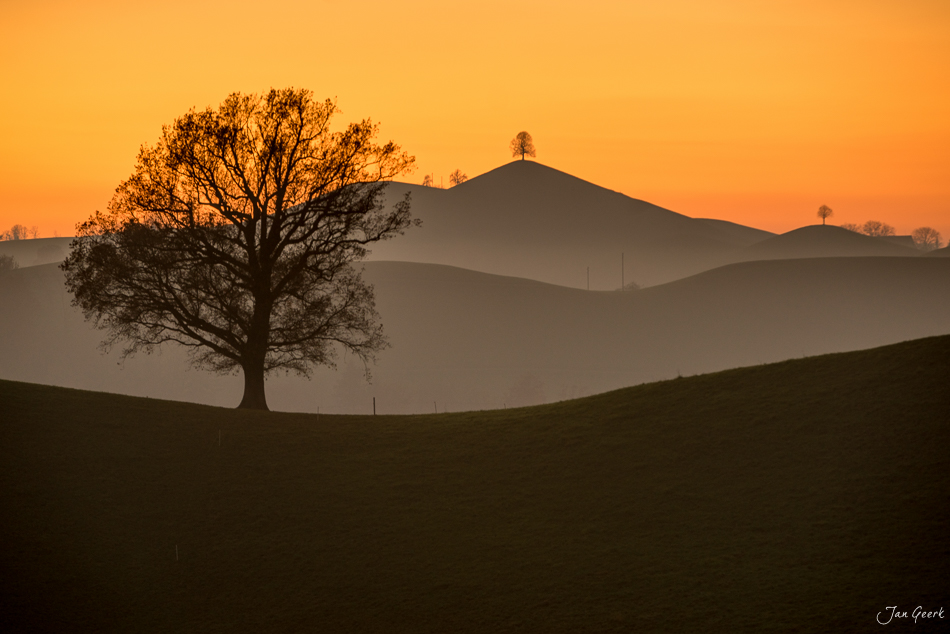 Einsamer Baum vor Herbstbergen in Hirzel, Zentralschweiz. Dramatische Dämmerungsstimmung – Jan Geerk Fotograf Basel
