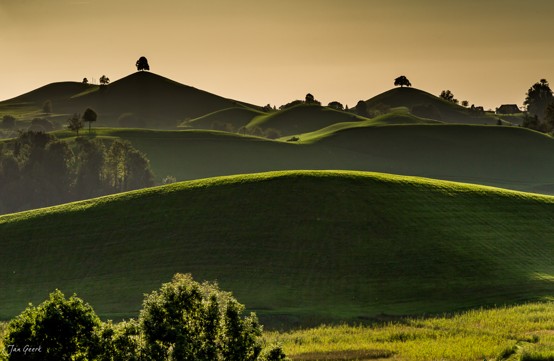 Grüne Drumlinlandschaft bei Hirzel mit sanften Hügeln in goldener Lichtstimmung Zentralschweiz – Jan Geerk Fotograf Basel